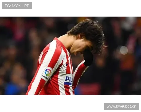 菲利克斯训练完直接去米其林三星，这日子谁顶得住啊